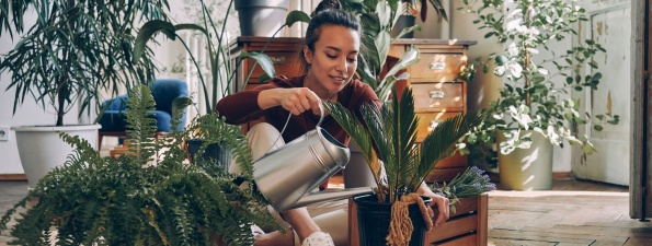 Les plantes d'intérieur en mode slow